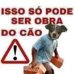 ISSO SÓ PODE SER OBRA DO CÃO