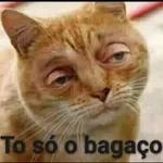 TÁ VENDO AÍ?