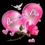 Bom dia 2