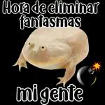 🐸Sapo Feliz Dia 🐸