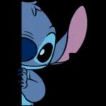 stich 