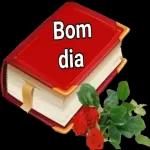 Oi Bom Dia