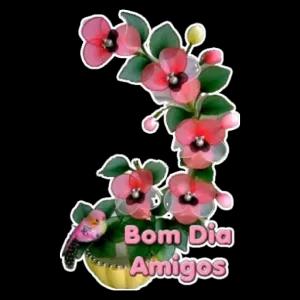 0Tg4ae