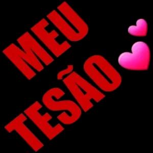 MEU TESÃO - getsticker.com