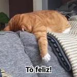 A coisa não dispiora nunca.