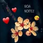 bom dia