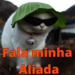 safadinha 
