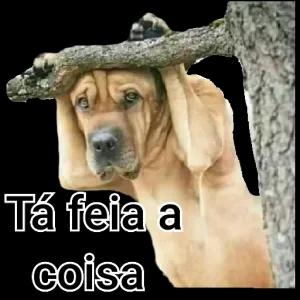 Tá feia a coisa - getsticker.com
