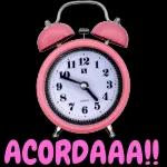 Bom dia Noite Amor 2022