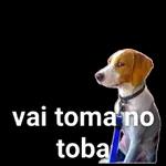 memes
