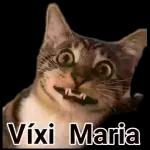 Estas mal de la cabeza o qué?