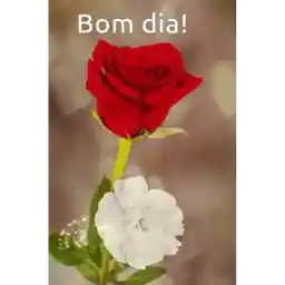 figurinhas