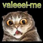 Deus
abençoe
sua noite!