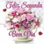segunda feira 