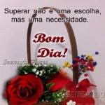 JÁ
ESTOU COM SAUDADE