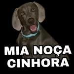 2- QUERO FAZER GOSTOSINHO COM VC ME PEGANDO DE 4 