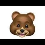 urso
