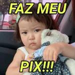faz meu pix