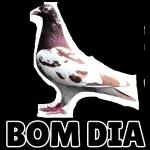 engraçado 🤣 
