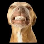 Calor do caralho🔥