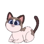 Boa noite