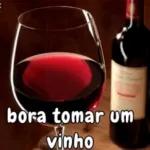 Bora Fazer Churrasco