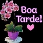 Boa Tarde! 