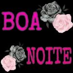 BOA NOITE nin@ 