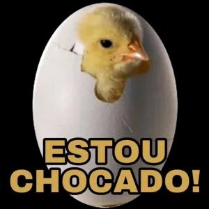 ESTOU CHOCADO! - getsticker.com