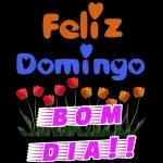  Bom Dia!