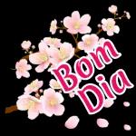 Evandro 