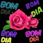 bom dia stickers