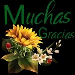 Muchas gracias