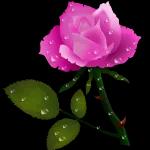 Relaxol paracetomar nobarzin Se for beber não dirija se for beber me chame Cura o estresse do dia a dia