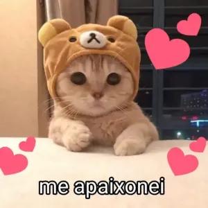 me apaixonei  - getsticker.com
