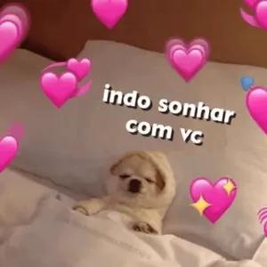 indo sonhar com vc - getsticker.com