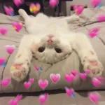 VOCÊ ESQUECEU
DE MIM