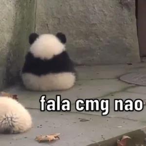 5pzbGm