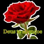 feliz dia dos namorados