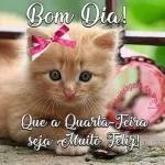 QUARTA-FEIRA
