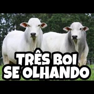 cOF4Uw