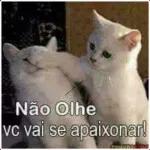 SOCORRO! ZÉ GOTINHA