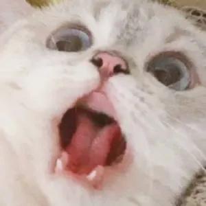 Rurlqx