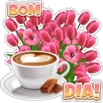 bom dia