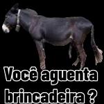 AGORA SO ME COMUNICO POR FIGURINHAS