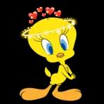 piolin.