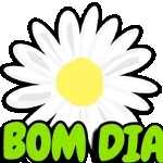 boa tarde