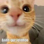 Aiiihh que fofinhoo