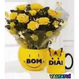 Novos 