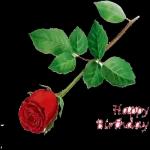 𝑴𝒊𝒙𝒙𝒆𝒅